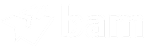 Ban logo