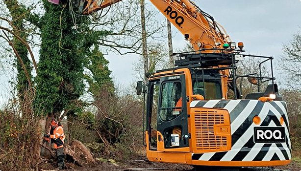 ROQ Tree surgery in Ireland and UK